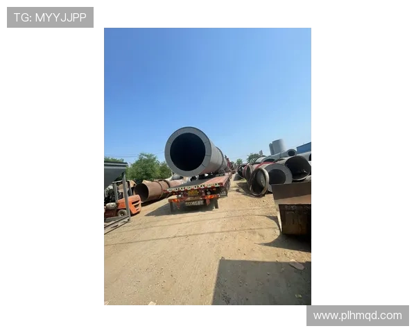 LNG在挑战者杯中的表现分析与状态评估全面解读