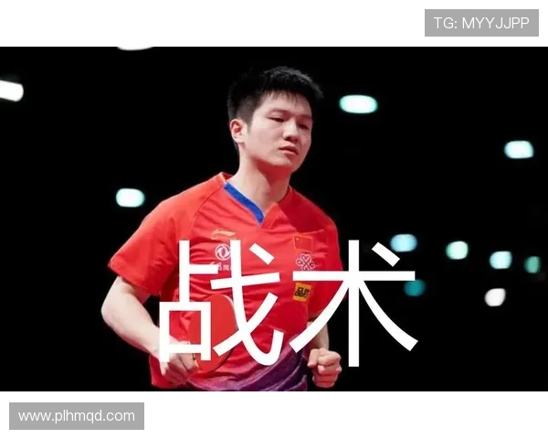 TES战队在DOTA2赛事中的经验分享与战术分析探讨