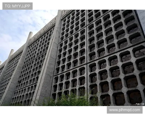 上海排球队区域防守革新之路探索与实践分析