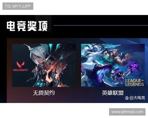 深入探讨BLG战队在比赛中的数据分析与经验表现总结