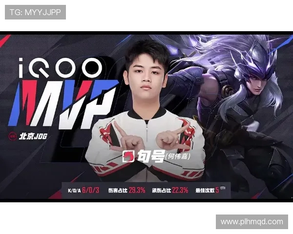 王者荣耀背后的故事：深入剖析JDG战队的拼搏与荣耀之路