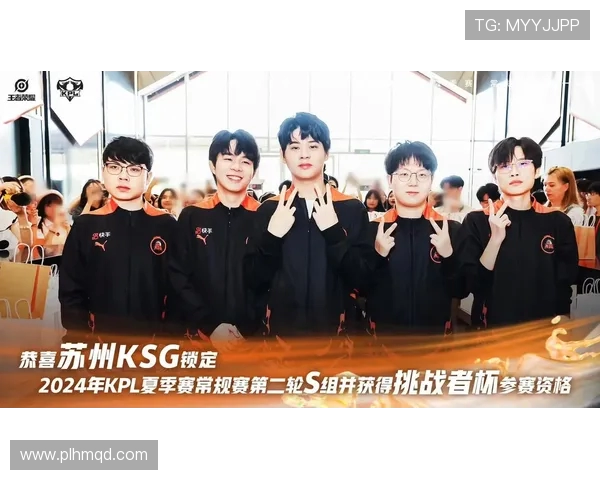 王者荣耀战术解析：深入探讨WE战队的团队配合与战略布局