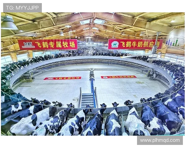 李泓澎：在新时代背景下探讨科技创新与社会发展的深度融合之路