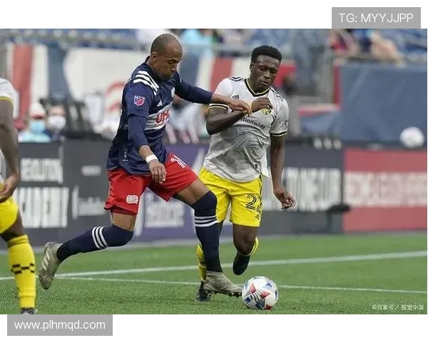 纽约城与新英格兰精彩对决直播全程回顾与分析