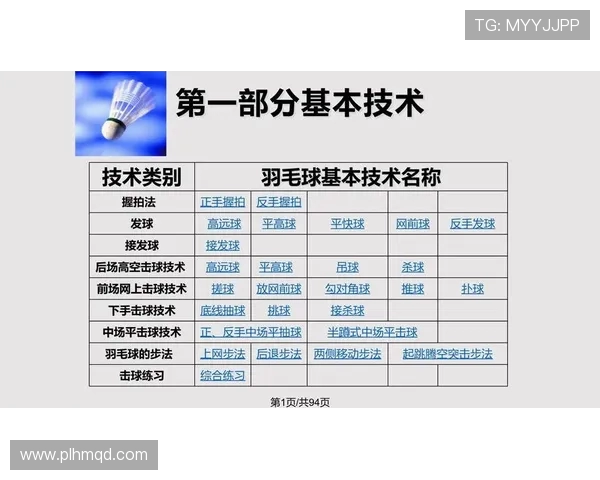 成都羽毛球队的战术解析与控制技巧深度剖析 成都羽毛球队的战术解析与控制技巧深度剖析