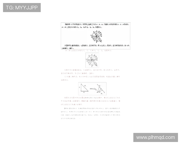 杭州羽毛球队的控制策略解析与热点动态分析