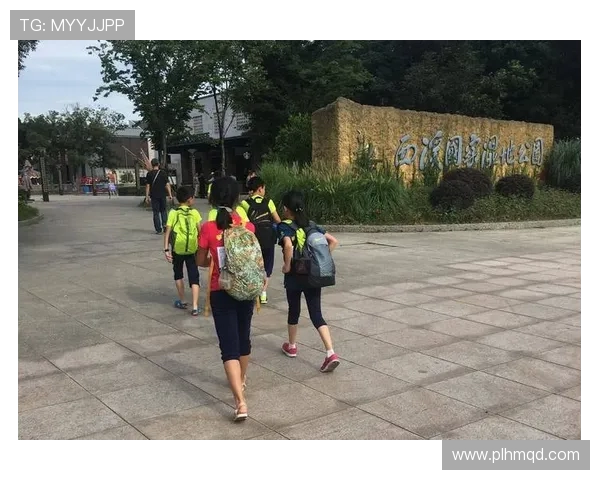 重庆攀岩队实力深度剖析与其他队伍的对比研究 重庆攀岩队实力深度剖析与其他队伍的对比研究