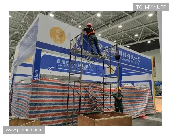 专访杨强：揭示攀岩高手的成功秘诀与训练心得